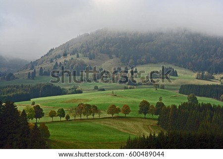 black forest