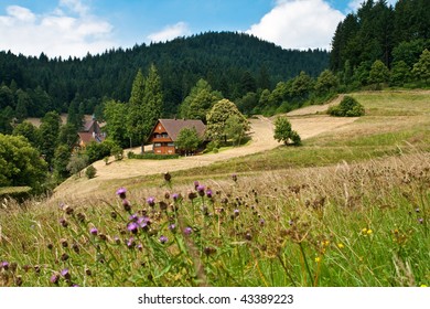 The Black Forest, Germany