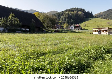 Black Forest Outdoor Museum Germany Was Taken On 10th October 2021.