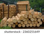 Black Forest, Baden-Württemberg, Upper Black Forest, Dold Holzwerke GmbH, Buchenbach, logs, warehouse