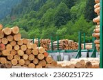 Black Forest, Baden-Württemberg, Upper Black Forest, Dold Holzwerke GmbH, Buchenbach, logs, warehouse