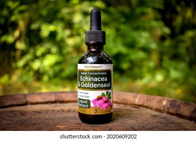 Black Fork, Arkansas, USA- August 3, 2021- A Bottle Of Gluten-free, Alcohol-free Echinacea And Goldenseal Liquid Extract By Horbaach 