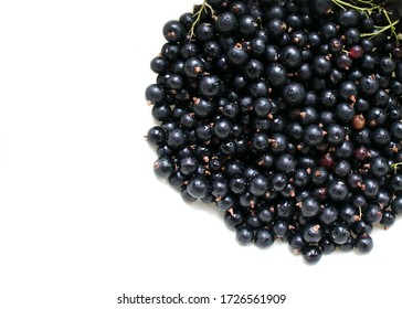 Blackberries Images, Stock Photos & Vectors | Shutterstock