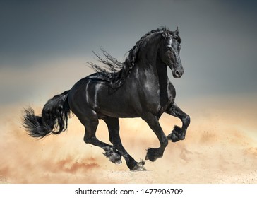 Black friesian horse with long mane runs in desert sand - Powered by Shutterstock