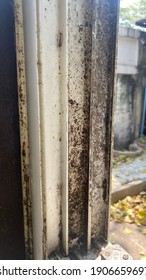 Black Fungus Grows On The Aluminum Window Sill.