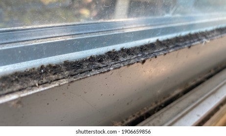 Black Fungus Grows On The Aluminum Window Sill.