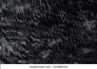 286,768 Black furry Stock Photos, Images & Photography | Shutterstock