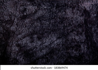 Black Fur Texture