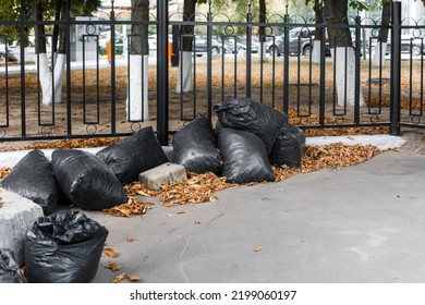 Black garbage bags under the iron fence on the asphalt. Urban landscape, collecting autumn yellowed dry leaves. Space for text. - Shutterstock ID 2199060197