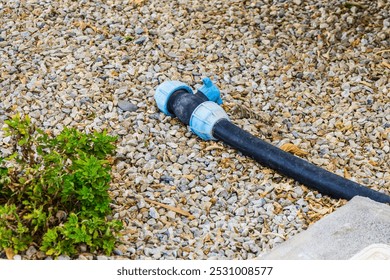 A black garden hose with blue connectors lies on a bed of gravel, surrounded by lush greenery, basking in the warmth of a sunny day in the landscaping area. - Powered by Shutterstock