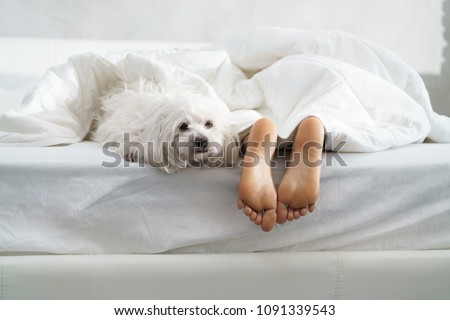 Similar – Image, Stock Photo sunday is for resting
