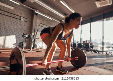 Black girl doing deadlift exercise with barbell for back in gym. Concept of healthy lifestyle. Young concentrated curly brunette woman wearing sportswear. Sports center in sunny day - Powered by Shutterstock