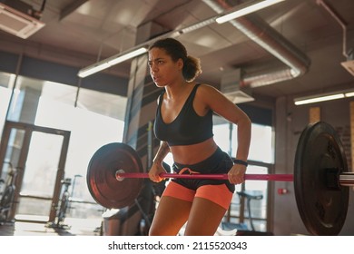 Black girl doing sport exercise with heavy weight barbell for back in gym. Concept of healthy lifestyle. Young strong concentrated curly brunette woman wearing sportswear. Sport club in sunny day - Powered by Shutterstock