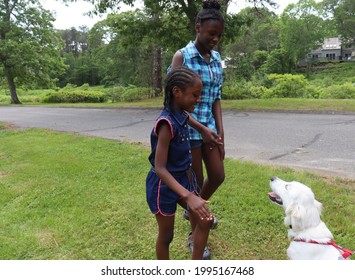 Black Girls With White Dog On Lease Outdoors In Suburban Neighborhood