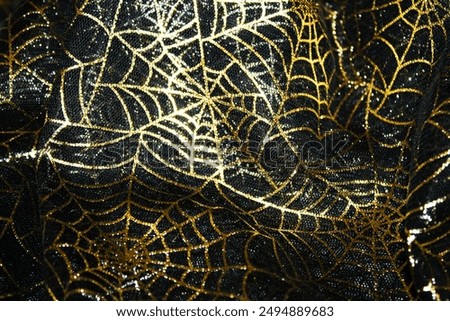 Similar – Image, Stock Photo shiny spider web with water droplets