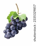 black grape dark blue grape isolated on white background. With clipping path. Full depth of field