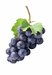 Black Grape Dark Blue Grape Isolated On White Background. With Clipping Path. Full Depth Of Field