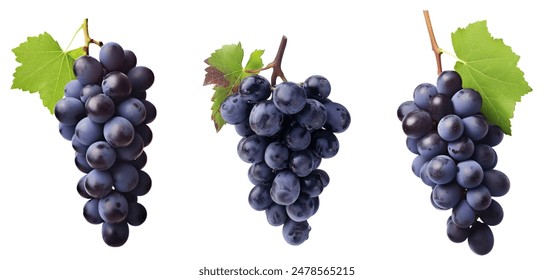 black grape dark blue grape isolated on white background. With clipping path. Full depth of field - Powered by Shutterstock