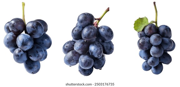 black grape dark blue grape isolated on white background. With clipping path. Full depth of field - Powered by Shutterstock