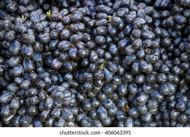 black grapes background 