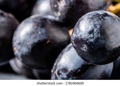 Black Grapes, Extreme Close-up. Low Angle.