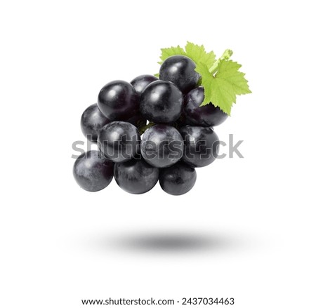 Black grapes with green leaf flying in the air isolated on white background.