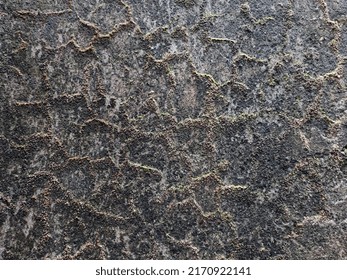 Black Grey Abostrck HD Closeup Photography 