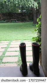 Black Gumboots With Green Background