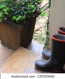 Black Gumboots With Green Background