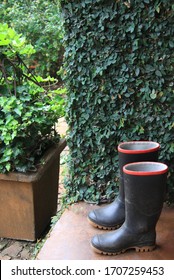 Black Gumboots With Green Background