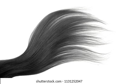 Black Hair Isolated On White Background
