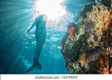 Black Hair Mermaid Swimming Underwater In The Deep Blue Sea