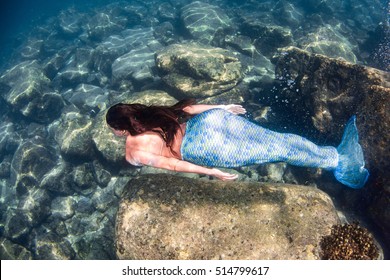 Black Hair Mermaid Swimming Underwater Deep Stock Photo 514799617 ...