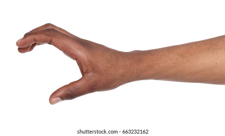 Black hand holding credit card or other isolated on white background. African american man grab something, copy space, void