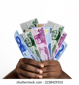Black hands holding new 3D rendered Nigerian naira notes. closeup of Hands holding various Nigerian currency notes - Shutterstock ID 2238429553