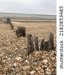 Black headed gull soars above the beach in Sussex 