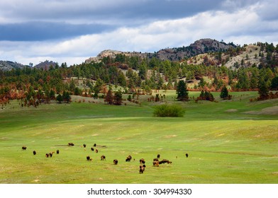 Black Hills