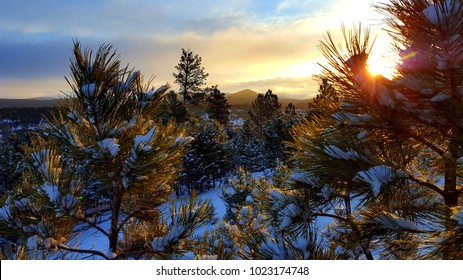 Black Hills Morning