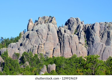 Black Hills National Forest