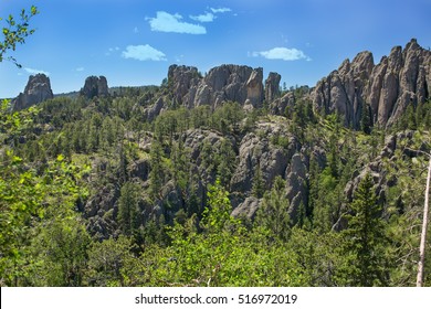 Black Hills National Forest 