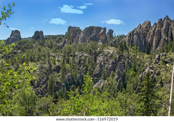 Black Hills national forest\
