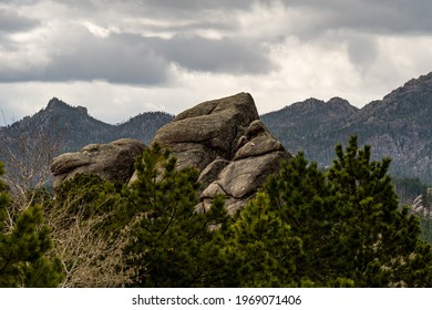 Black Hills National Forest Near Rapid City, SD