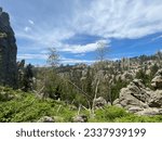 Black Hills National forest South Dakota