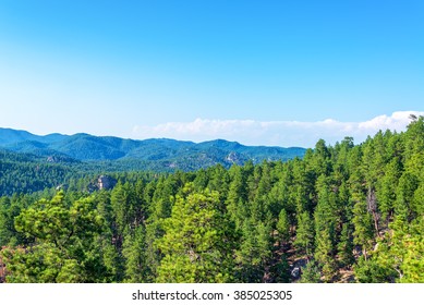 Black Hills National Forest In South Dakota