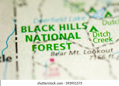 Black Hills National Forest. South Dakota. USA