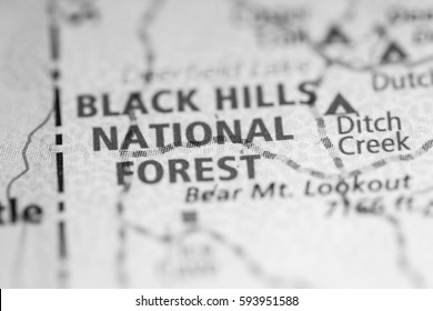 Black Hills National Forest. South Dakota. USA