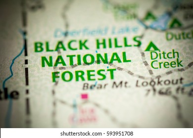 Black Hills National Forest. South Dakota. USA