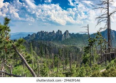 The Black Hills National Forrest Of South Dakota