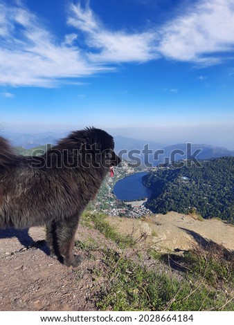Similar – Image, Stock Photo Majestic Pico Câo Grande rising through the mist