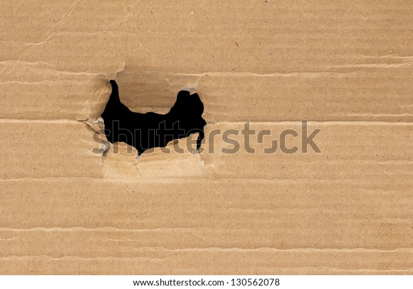black hole in a cardboard\
background